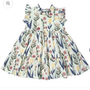 Pink Chicken Jennifer Dress in Paper Floral Girls 6Y